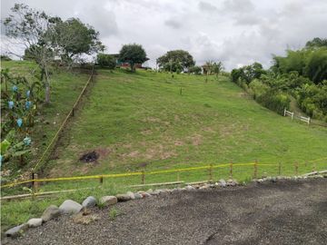 🌄Lotes en parcelación vía Alcalá - Quimbaya desde $65 millones