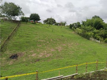 🌄Lotes en parcelación vía Alcalá - Quimbaya desde $65 millones