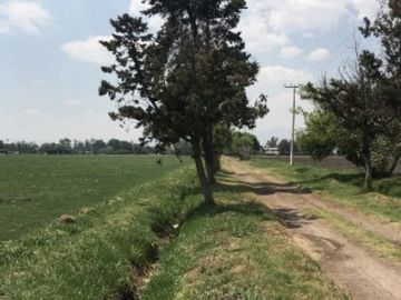 Terreno en Venta en Teoloyucan