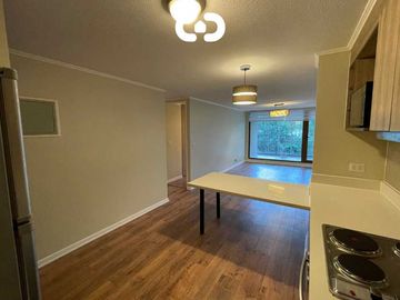 Departamento en venta en PUERTO VARAS