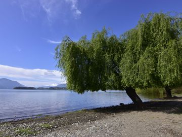 Parcela en venta en PANGUIPULLI