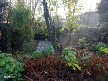 Parcela en venta en PANGUIPULLI