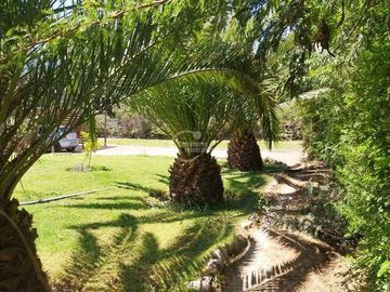 Casa en Venta en Sector Caballo Blanco / el Almendral / Vicuña / Valle del Elqui
