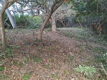 LOTE PAZCUARITO - Terreno en venta en SAYULITA, Bahia de Banderas