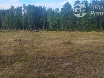 Parcela en Venta en sector purey al oriente de valdivia salida hacia los lagos