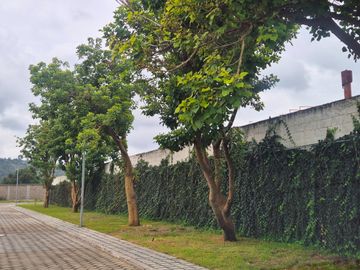 CASA NUEVA EN VENTA EN RESIDENCIAL MONTERREAL, CAMINO A HUEJOTZINGO!