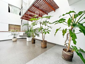 Departamento - Lince