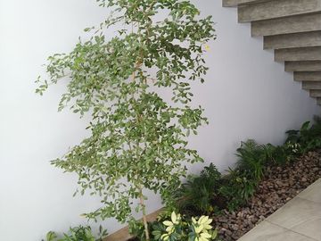 Casa en Venta en la rioja tlajomulco de zuñiga