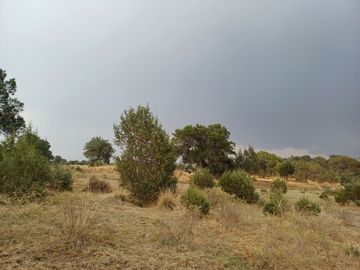 Terreno en VENTA, Atlangantepec Tlaxcala