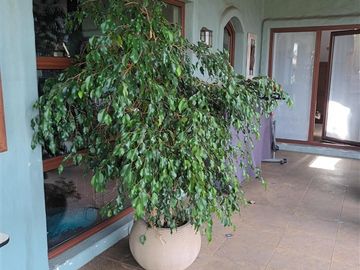 Casa en Venta en condominio Santa Raquel