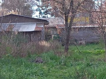 Parcela en venta en RÍO BUENO