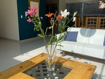 VENTA CASA EN VILAPUNTA