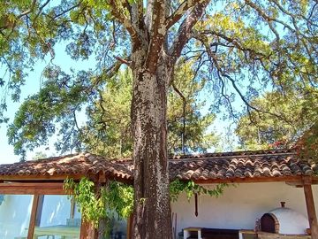 Casa en Venta, San Cristóbal de las Casas, Chiapas
