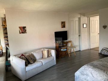 Tepepan Casas Venta, Condominio Abrazos de Naturaleza Frondosos Árboles