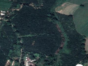 Terreno de 174 has bien ubicado
