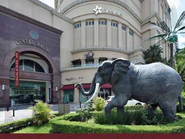 Departamento - Arcos Vallarta
