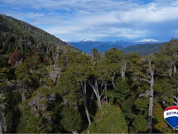 SE VENDE CAMPO PARA INVERSIÓN - HUIFE PUCON CHILE