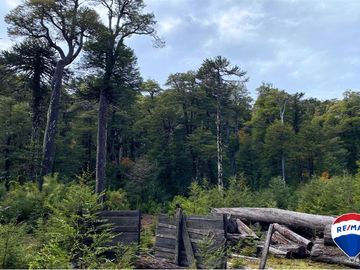 SE VENDE CAMPO PARA INVERSIÓN - HUIFE PUCON CHILE