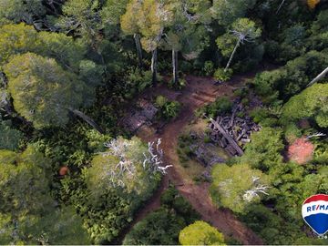 SE VENDE CAMPO PARA INVERSIÓN - HUIFE PUCON CHILE