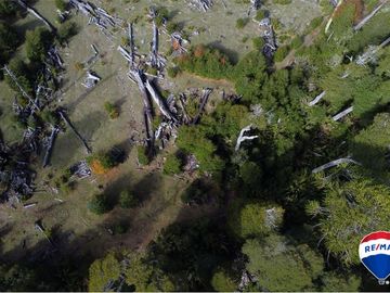 SE VENDE CAMPO PARA INVERSIÓN - HUIFE PUCON CHILE