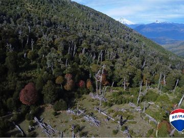 SE VENDE CAMPO PARA INVERSIÓN - HUIFE PUCON CHILE