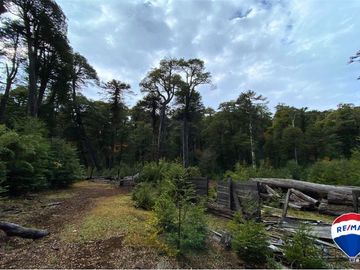 SE VENDE CAMPO PARA INVERSIÓN - HUIFE PUCON CHILE