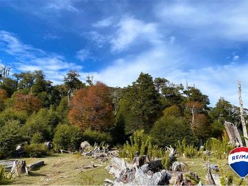 SE VENDE CAMPO PARA INVERSIÓN - HUIFE PUCON CHILE