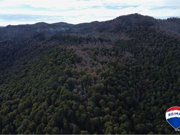 SE VENDE CAMPO PARA INVERSIÓN - HUIFE PUCON CHILE