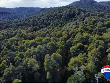 SE VENDE CAMPO PARA INVERSIÓN - HUIFE PUCON CHILE