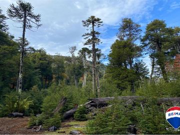 SE VENDE CAMPO PARA INVERSIÓN - HUIFE PUCON CHILE