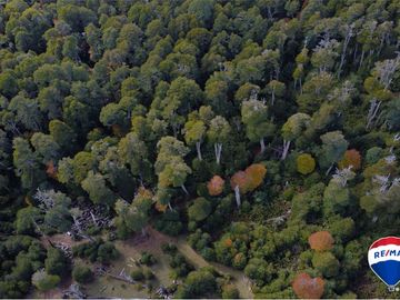 SE VENDE CAMPO PARA INVERSIÓN - HUIFE PUCON CHILE