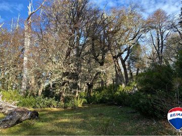 SE VENDE CAMPO PARA INVERSIÓN - HUIFE PUCON CHILE