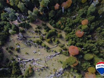 SE VENDE CAMPO PARA INVERSIÓN - HUIFE PUCON CHILE