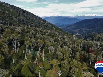 SE VENDE CAMPO PARA INVERSIÓN - HUIFE PUCON CHILE