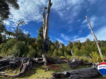 SE VENDE CAMPO PARA INVERSIÓN - HUIFE PUCON CHILE