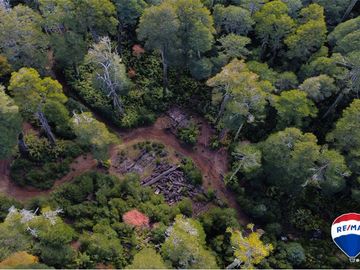 SE VENDE CAMPO PARA INVERSIÓN - HUIFE PUCON CHILE