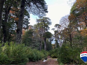 SE VENDE CAMPO PARA INVERSIÓN - HUIFE PUCON CHILE