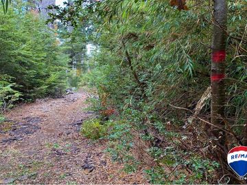 SE VENDE CAMPO PARA INVERSIÓN - HUIFE PUCON CHILE