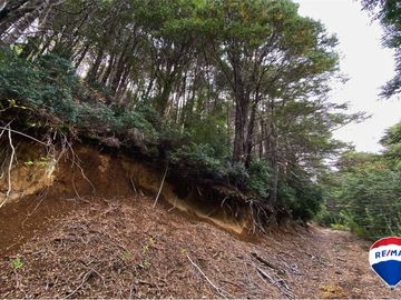 SE VENDE CAMPO PARA INVERSIÓN - HUIFE PUCON CHILE