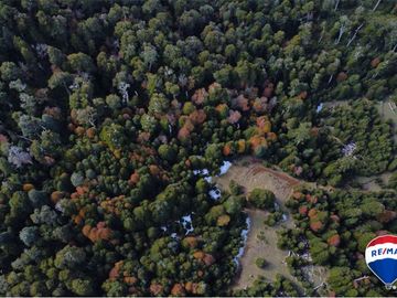 SE VENDE CAMPO PARA INVERSIÓN - HUIFE PUCON CHILE