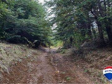 SE VENDE CAMPO PARA INVERSIÓN - HUIFE PUCON CHILE