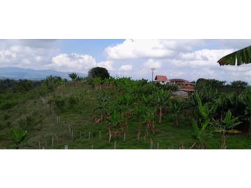 SE VENDE FINCA EN ALCAL VALLE EN LA VEREDA LA CAÑA DE 10.3  CUADRAS