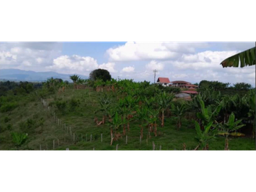 SE VENDE FINCA EN ALCAL VALLE EN LA VEREDA LA CAÑA DE 10.3  CUADRAS