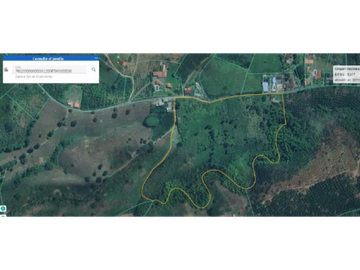 SE VENDE FINCA EN ALCAL VALLE EN LA VEREDA LA CAÑA DE 10.3  CUADRAS