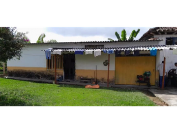 SE VENDE FINCA EN ALCAL VALLE EN LA VEREDA LA CAÑA DE 10.3  CUADRAS