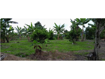 SE VENDE FINCA EN ALCAL VALLE EN LA VEREDA LA CAÑA DE 10.3  CUADRAS