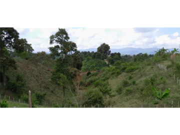 SE VENDE FINCA EN ALCAL VALLE EN LA VEREDA LA CAÑA DE 10.3  CUADRAS