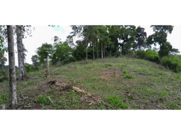 SE VENDE FINCA EN ALCAL VALLE EN LA VEREDA LA CAÑA DE 10.3  CUADRAS