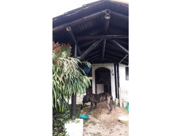 SE VENDE FINCA  EN EL QUINDIO A 15 MINUTOS DE QUIMBAYA