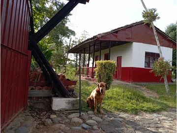 SE VENDE FINCA  EN EL QUINDIO A 15 MINUTOS DE QUIMBAYA